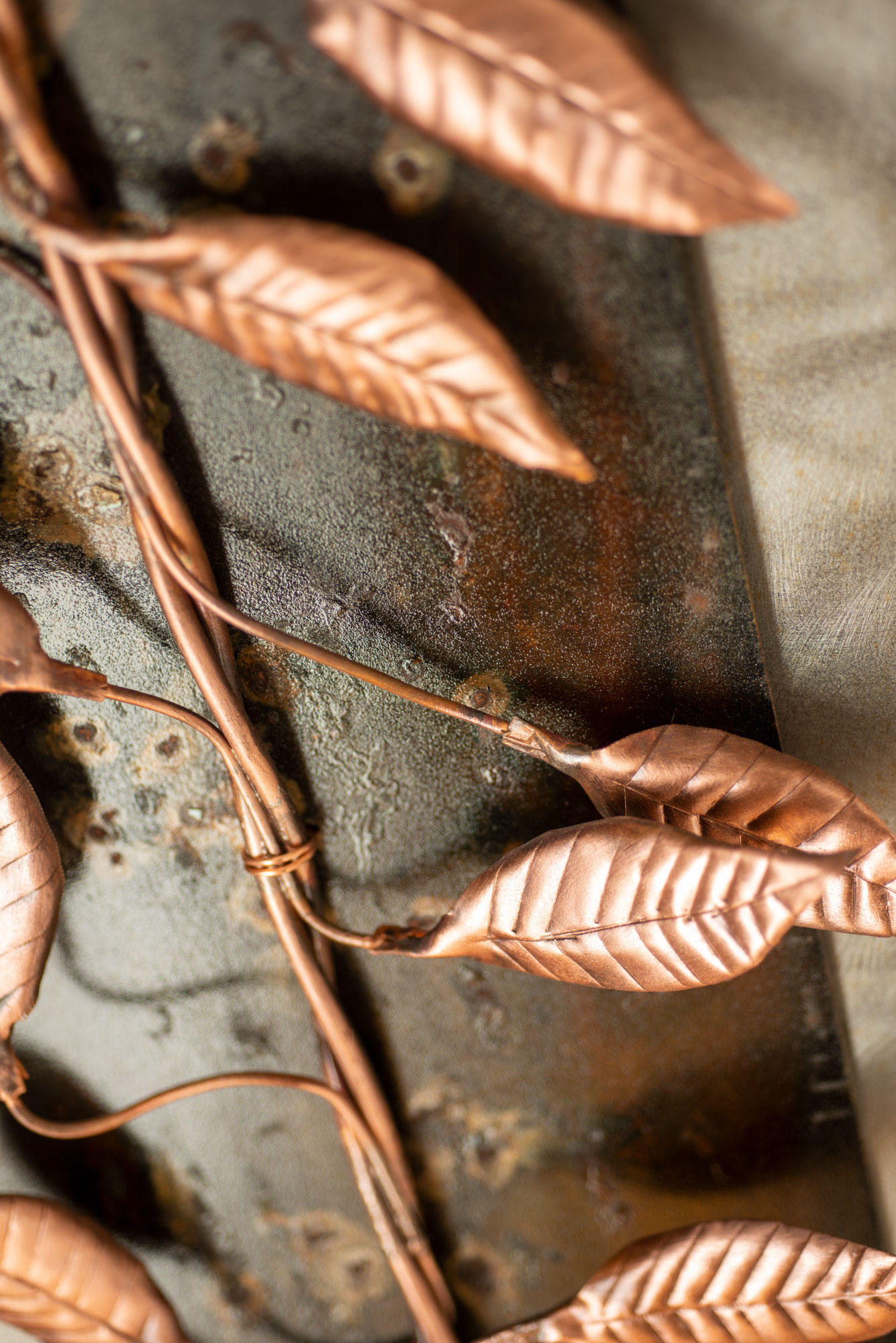 Copper Leaves on Steel